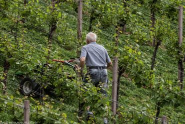 Der Hang von wo die Riede kommt.